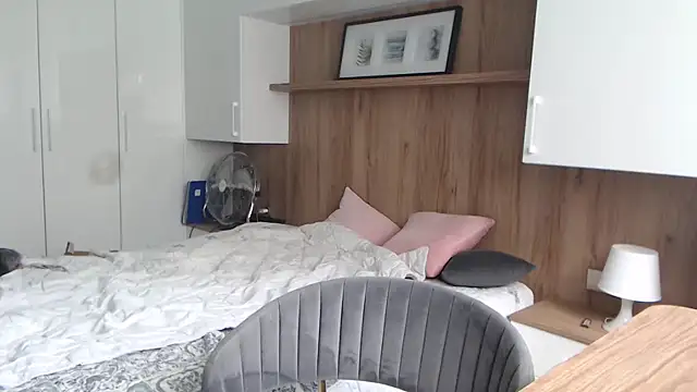 Lantti_Irres webcam