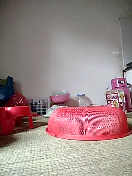 -Tara-a webcam