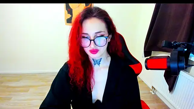 your_tora webcam