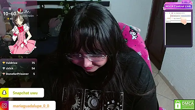 litlle_cat webcam