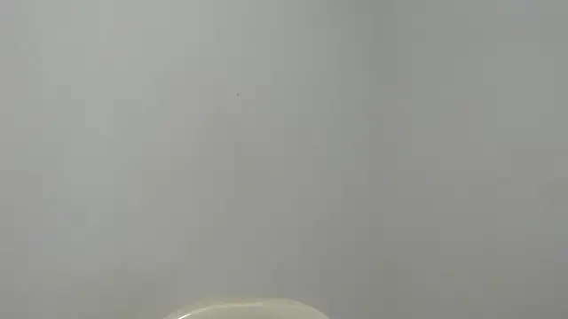 estefania224 webcam