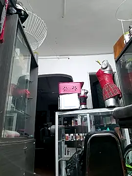 mago_vive webcam
