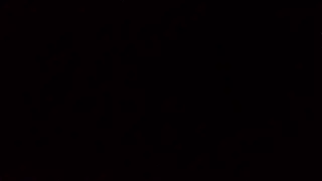 69bezfleku webcam