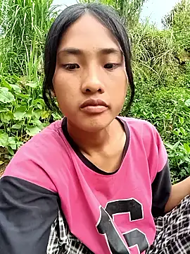 Hoa-tuylip webcam