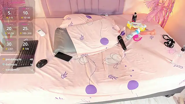 Nalapalmer webcam