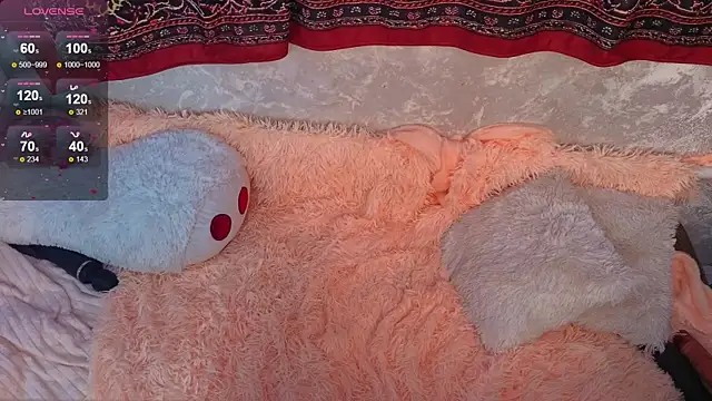 mirida_fox webcam