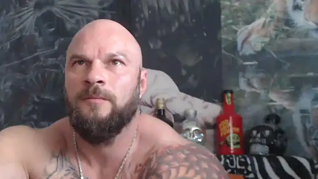 viking_30 webcam