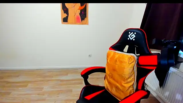 your_tora webcam