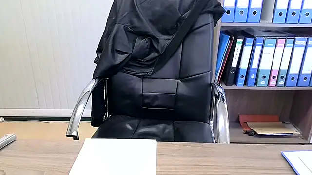 Evasionee webcam