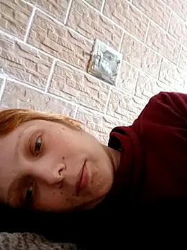 Ponka2011 webcam