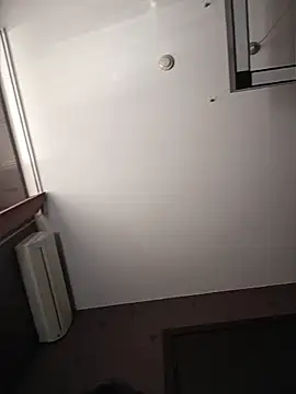kotkite webcam