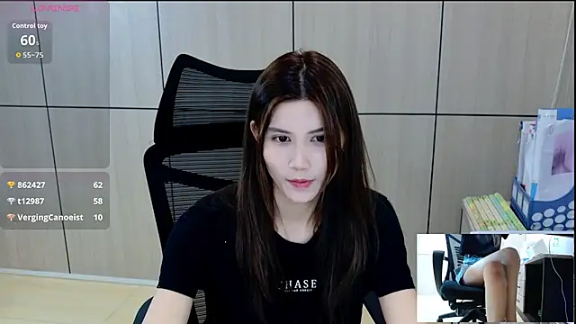 zhen-68 webcam