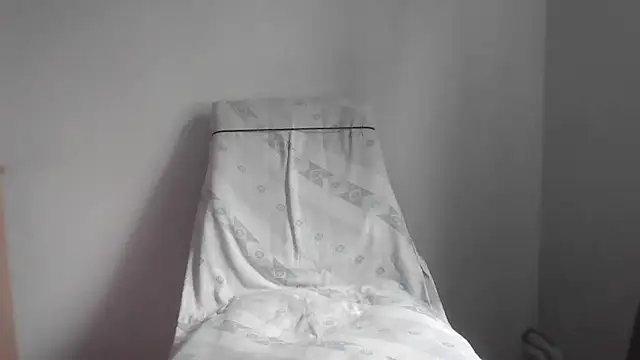 fl3xxx1 webcam