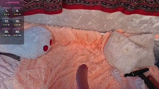 mirida_fox webcam