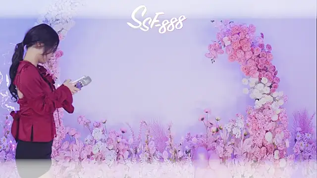 SSF-888 webcam