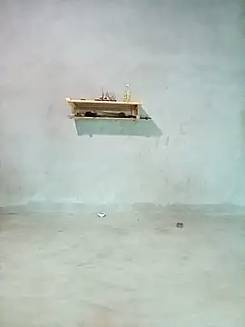 gogo-min webcam