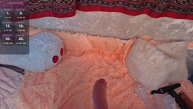 mirida_fox webcam