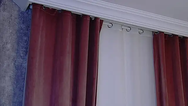 DeeaVIP webcam