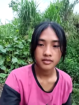 Hoa-tuylip