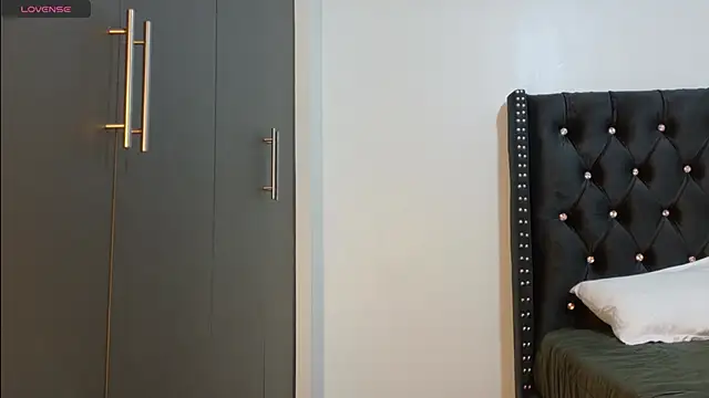 online_bestie webcam