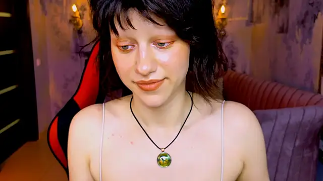 LidaDarknet webcam