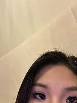 yy22111 webcam