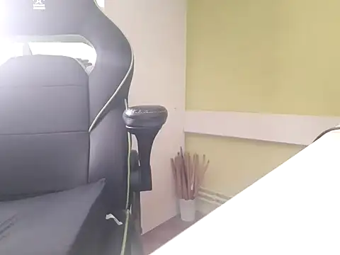 feathersify webcam