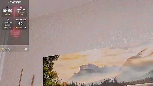 Tyler_durten webcam