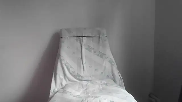 fl3xxx1 webcam
