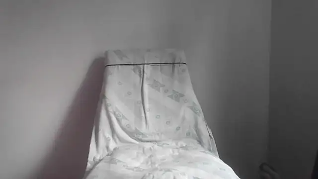 fl3xxx1 webcam
