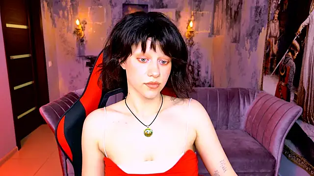 LidaDarknet webcam