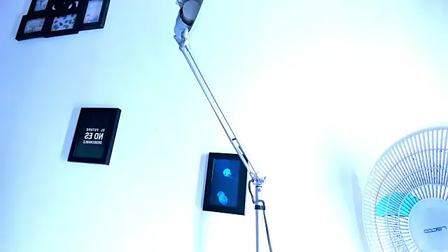 Pit_Ross webcam