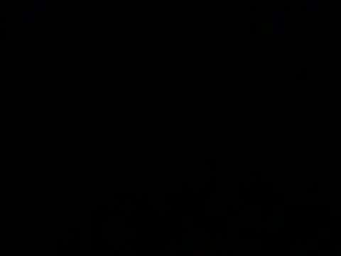 aran6676 webcam