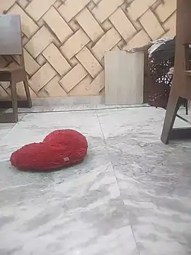 MeenuBhabhi547 webcam