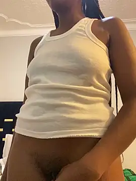 Sis27 webcam