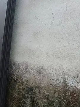 Sgs594802799 webcam