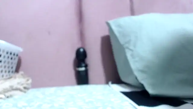 Bracylia webcam