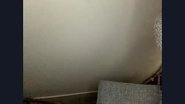 ScarlettSensitive webcam