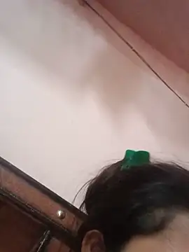 Deepjakolirr webcam