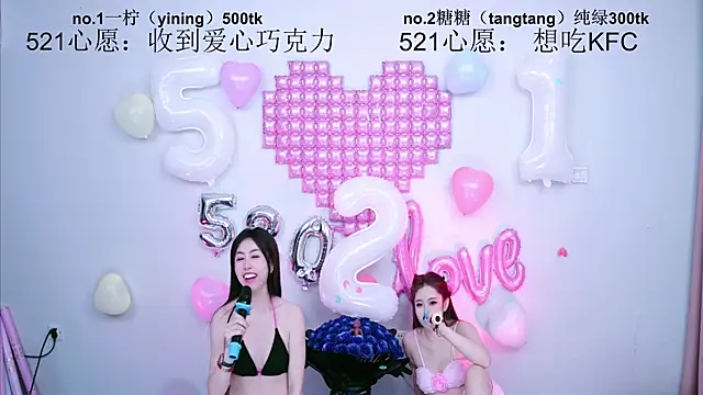 CCTW-100 webcam