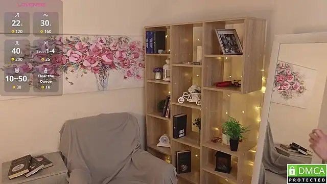 Sue_Sanders webcam
