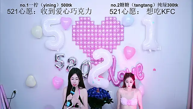 CCTW-100 webcam
