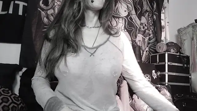 Silentmary webcam