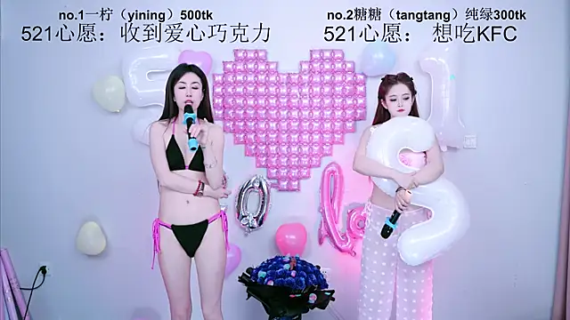 CCTW-100 webcam
