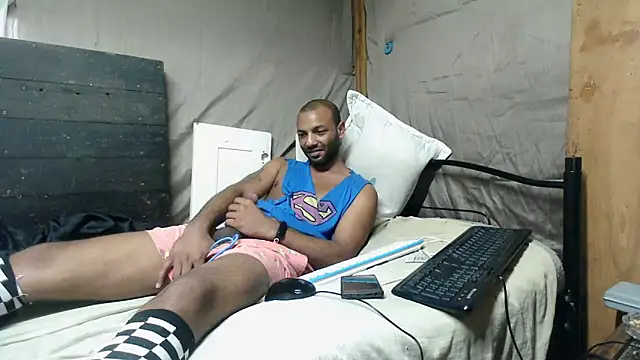 Camodick webcam
