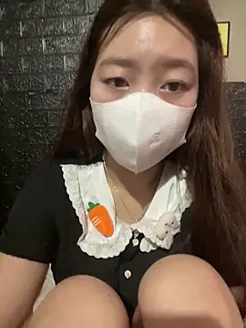 kyoto-to webcam
