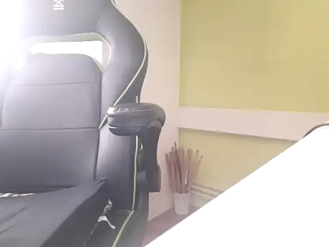 feathersify webcam