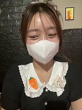 kyoto-to webcam