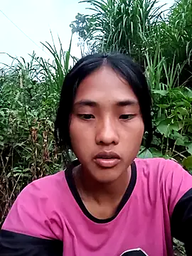 Hoa-tuylip