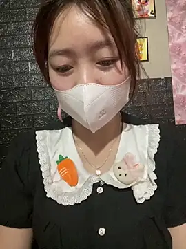 kyoto-to webcam
